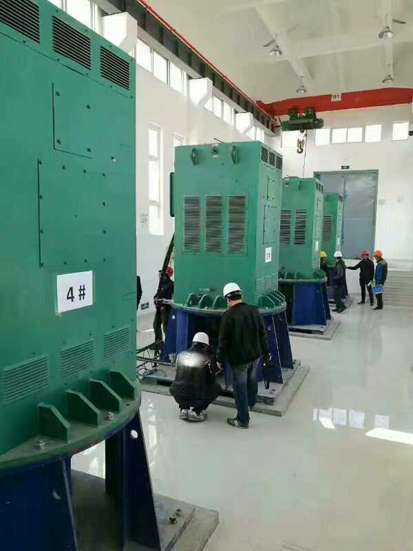 Y4507-4/800KW某污水处理厂使用我厂的立式高压电机安装现场