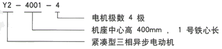 YR系列(H355-1000)高压Y4507-4/800KW三相异步电机西安西玛电机型号说明